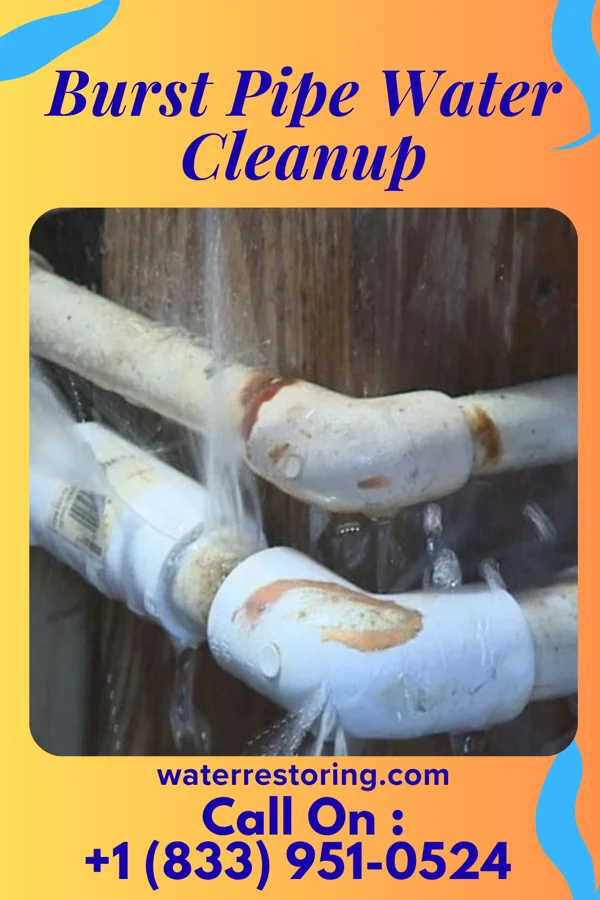 Burst Pipe Water Cleanup in Morenci, MI