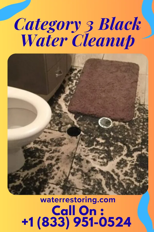Category 3 Black Water Cleanup in Morenci, MI