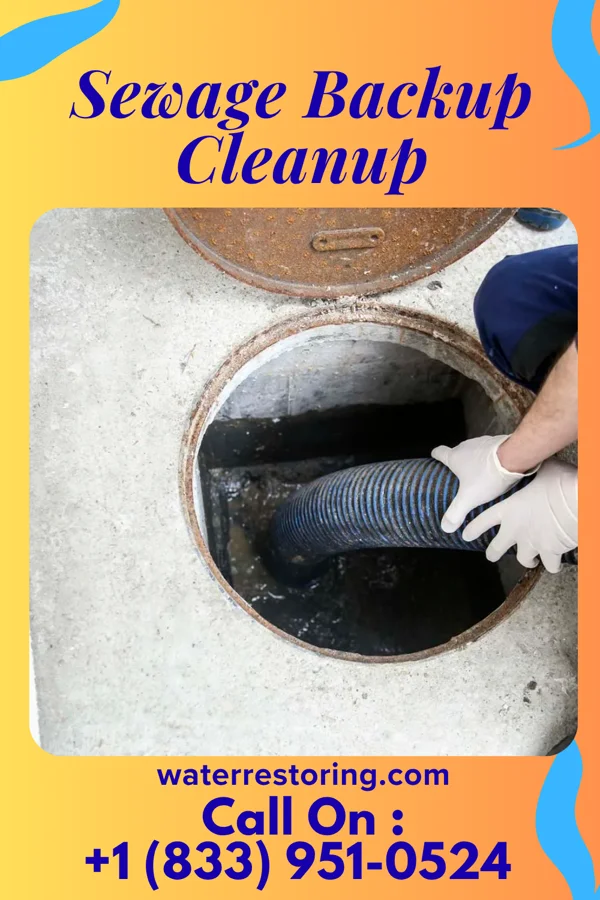 Sewage Backup Cleanup in Morenci, MI